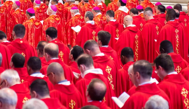 Cardinal 768x443 1