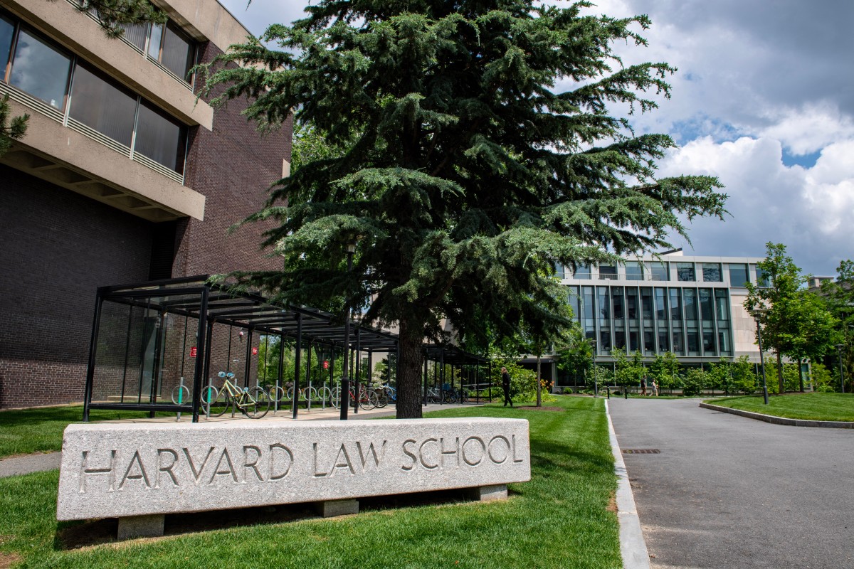 havard blog 2