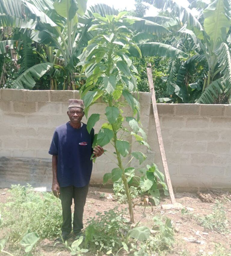 farmer