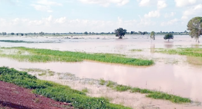 niger flood