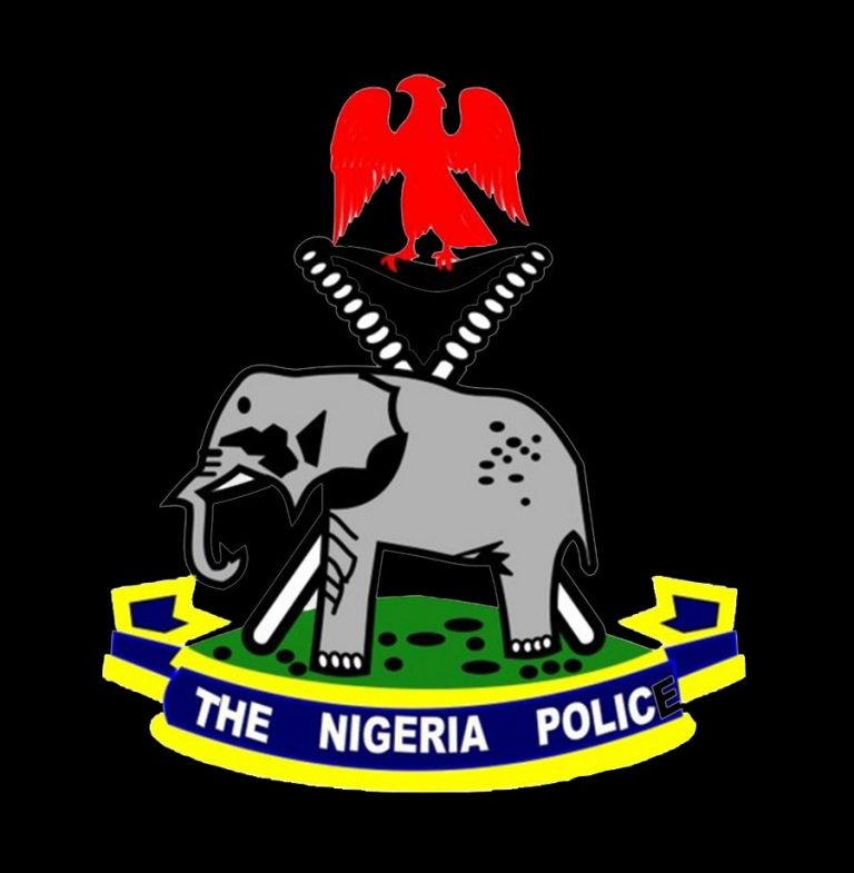 Nigeria Police 768x785 1