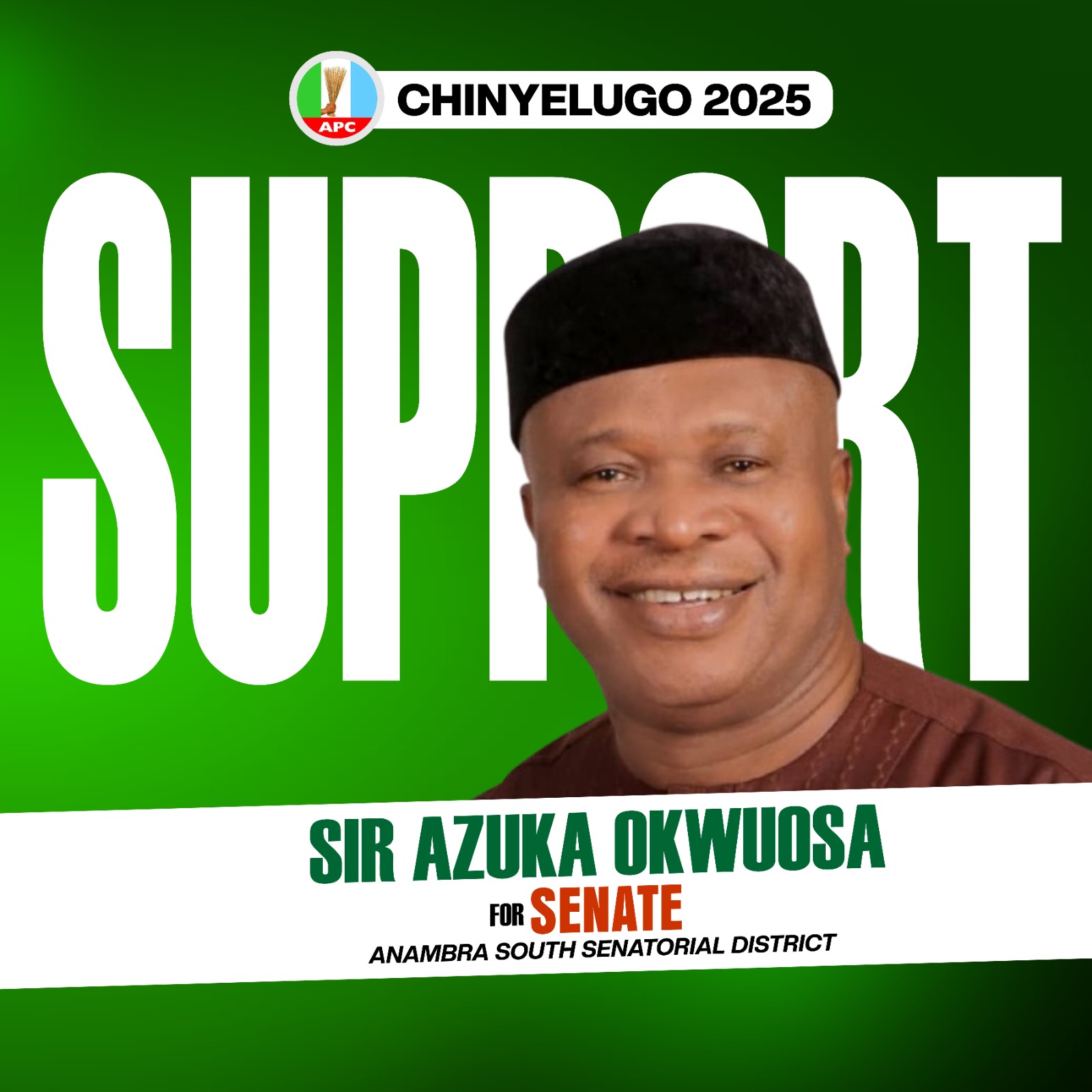 Anambra APC Senatorial Bye-Election Primary: Chief Sir Azuka Okwuosa Picks APC Ticket