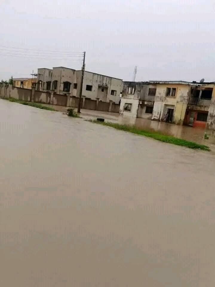 adamawa flood