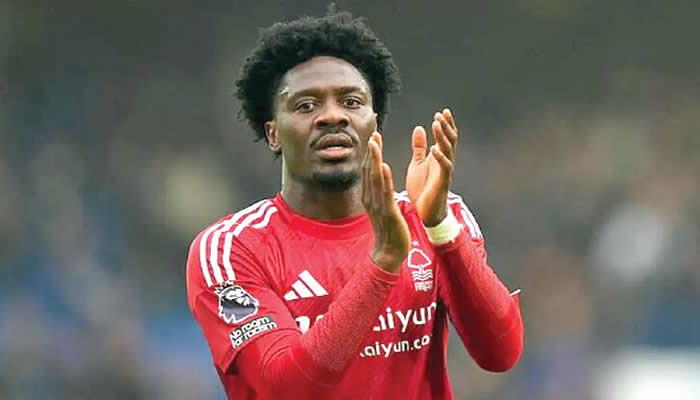 ola aina
