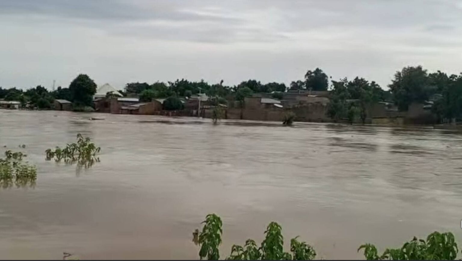 flod in yobe
