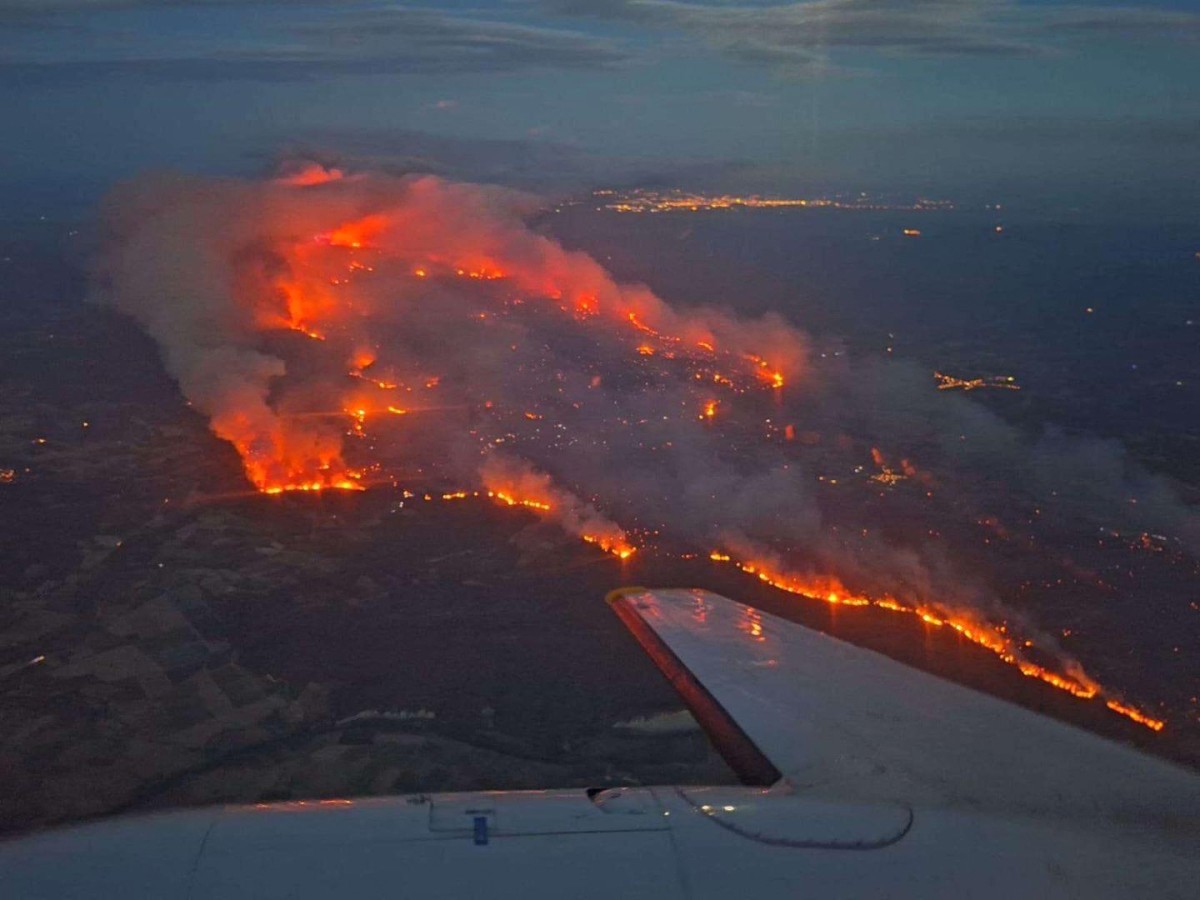 wild fire