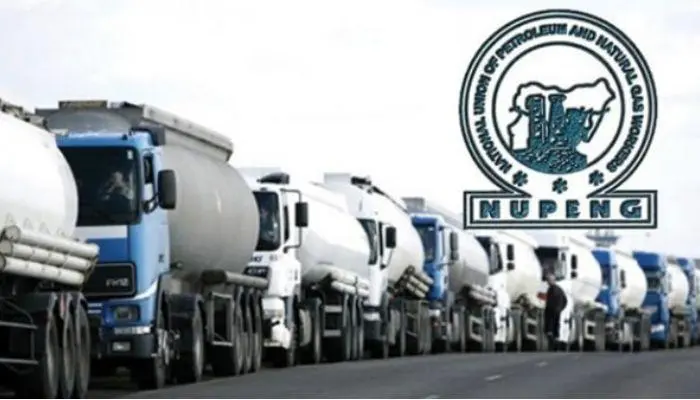 NUPENG PTD LOGO