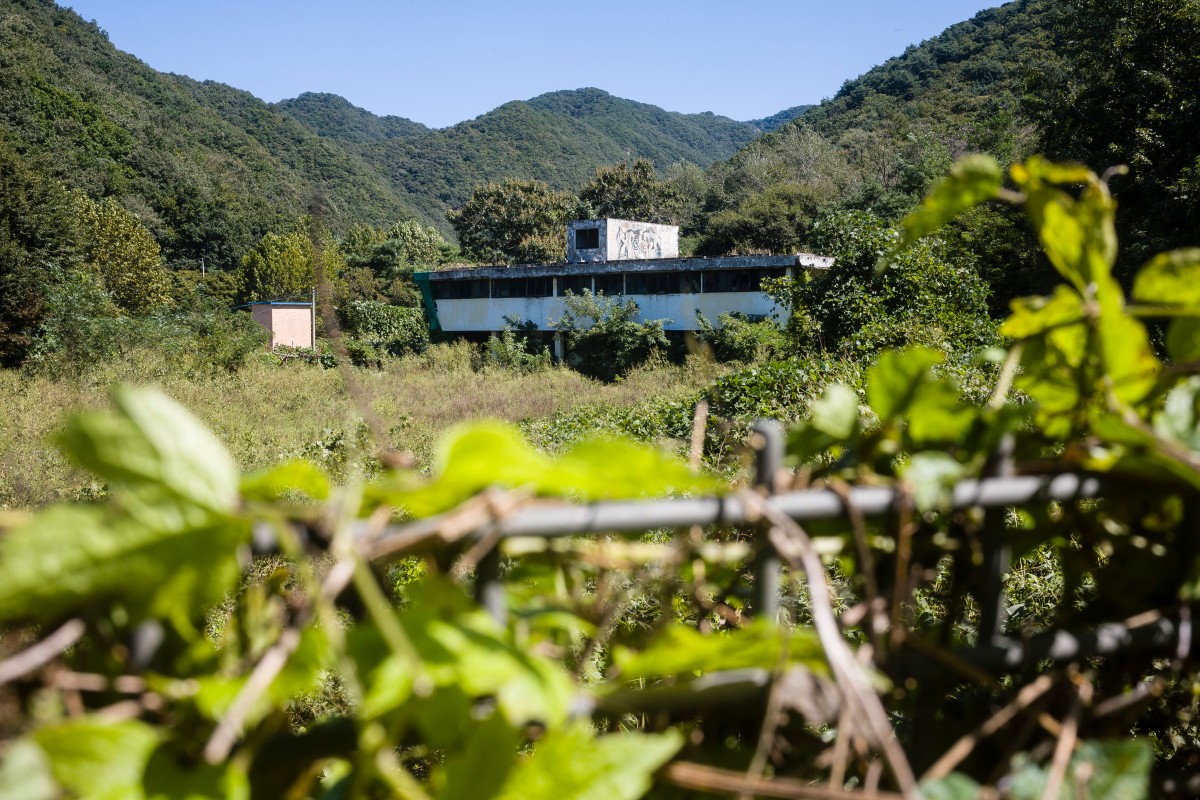 monkey house