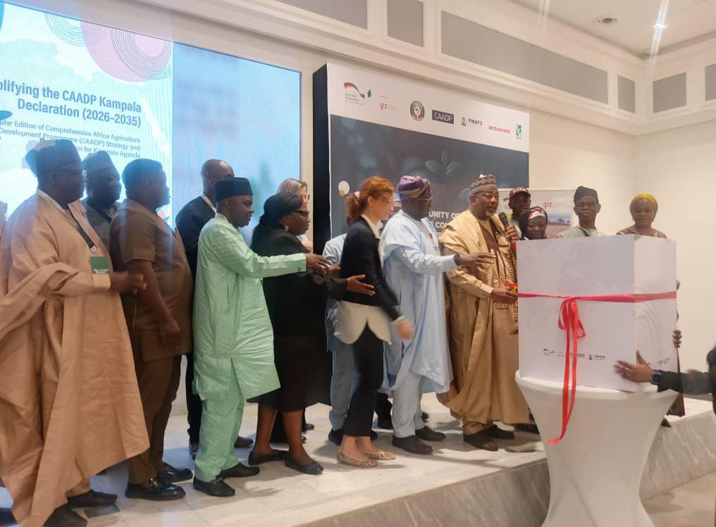 ba174d00 f1df 46ca aedc d03bd9bae6ad