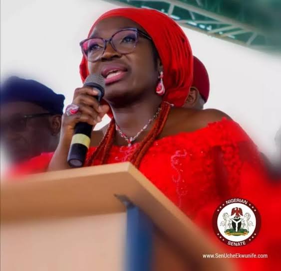 Yuletide: Uche Ekwunife Urges Nigerians to Embrace Love, Sacrifice and National Unity